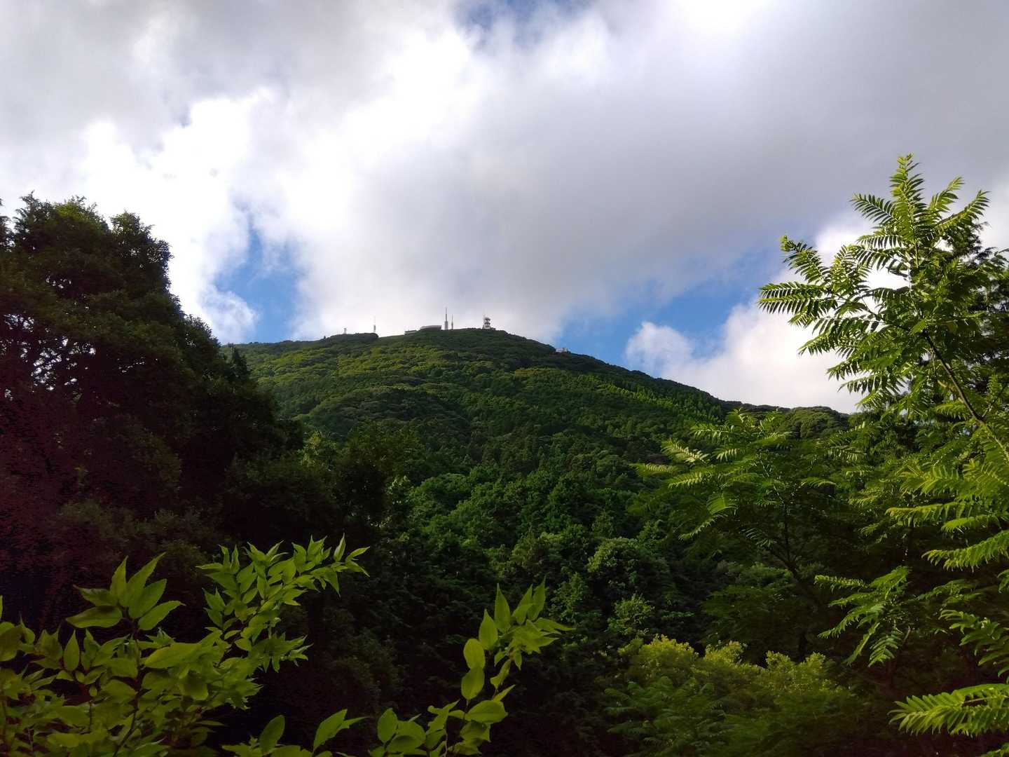 アスファルトは、涼しい〜🍃