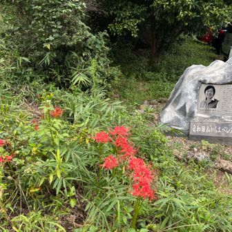 日和田山を降りると、彼岸花が大量に咲いていた