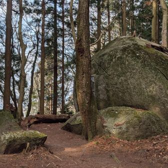 舟石は寝っ転がったら気持ちよさそうです