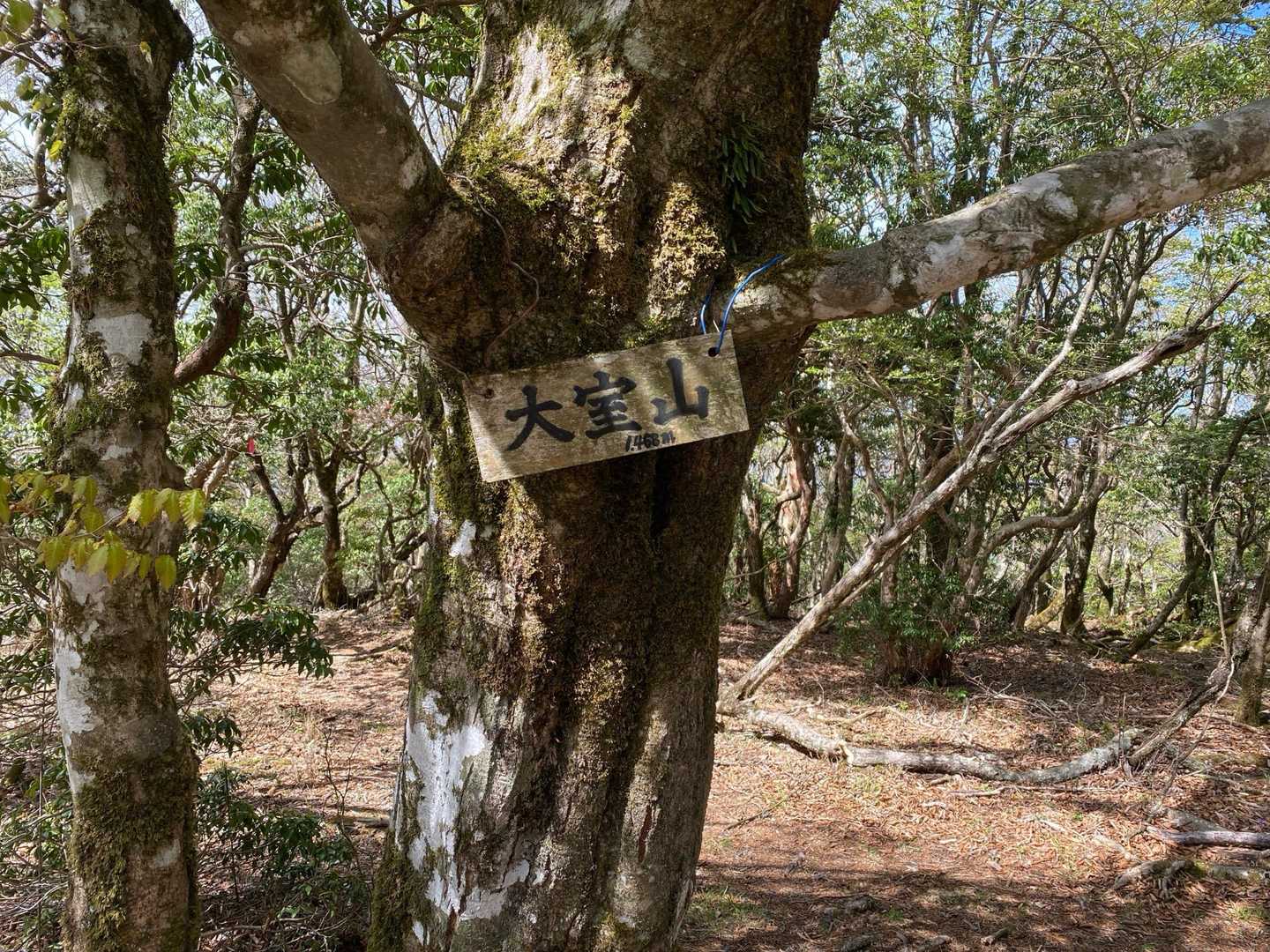 大室山とうちょう(甲斐百山)