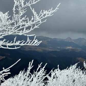 大洞とうっすら霧氷のコラボ