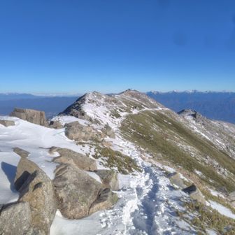 この辺はまだハイマツが露出してるな