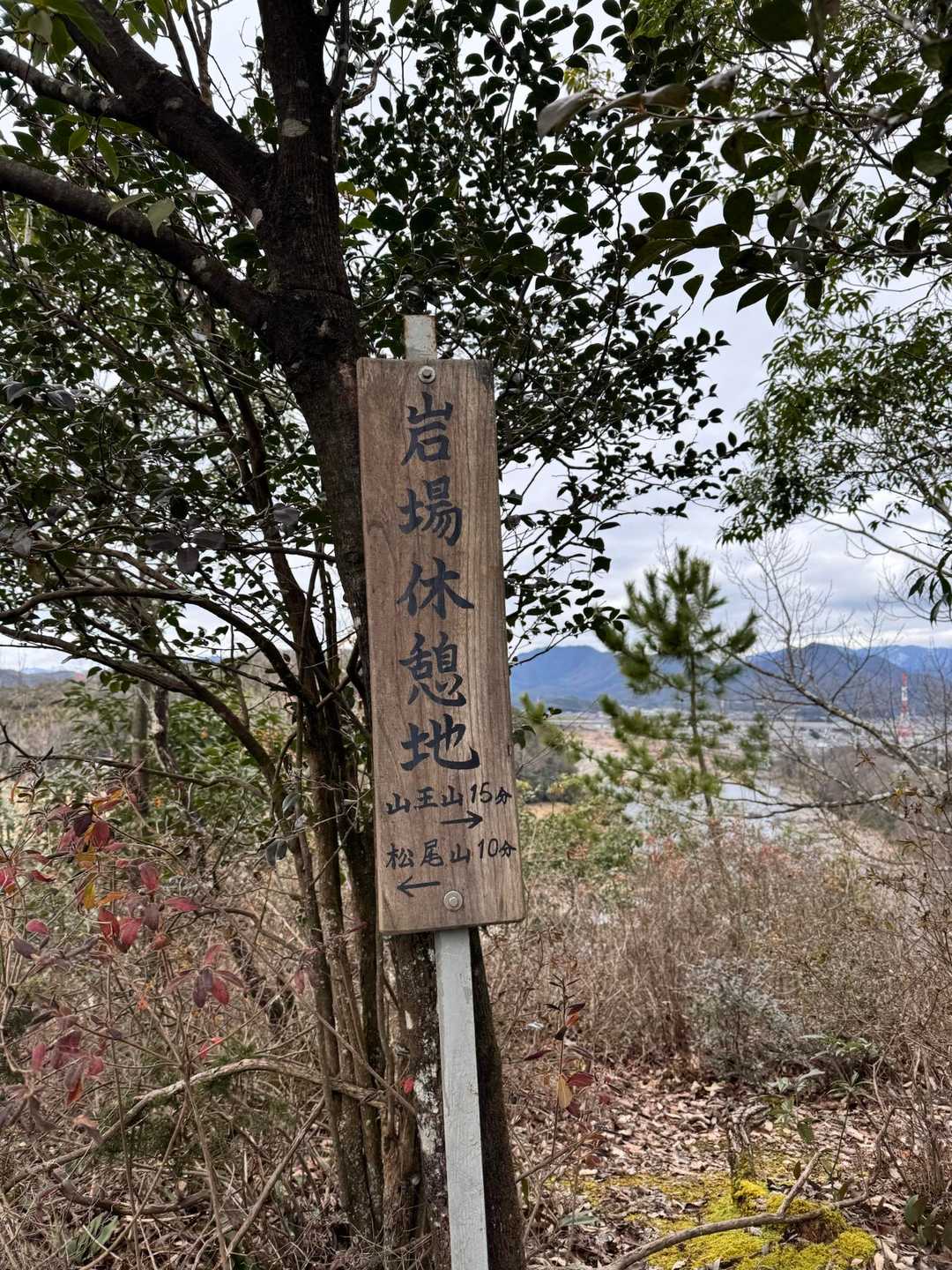 ちょっと休憩しまーす☺️