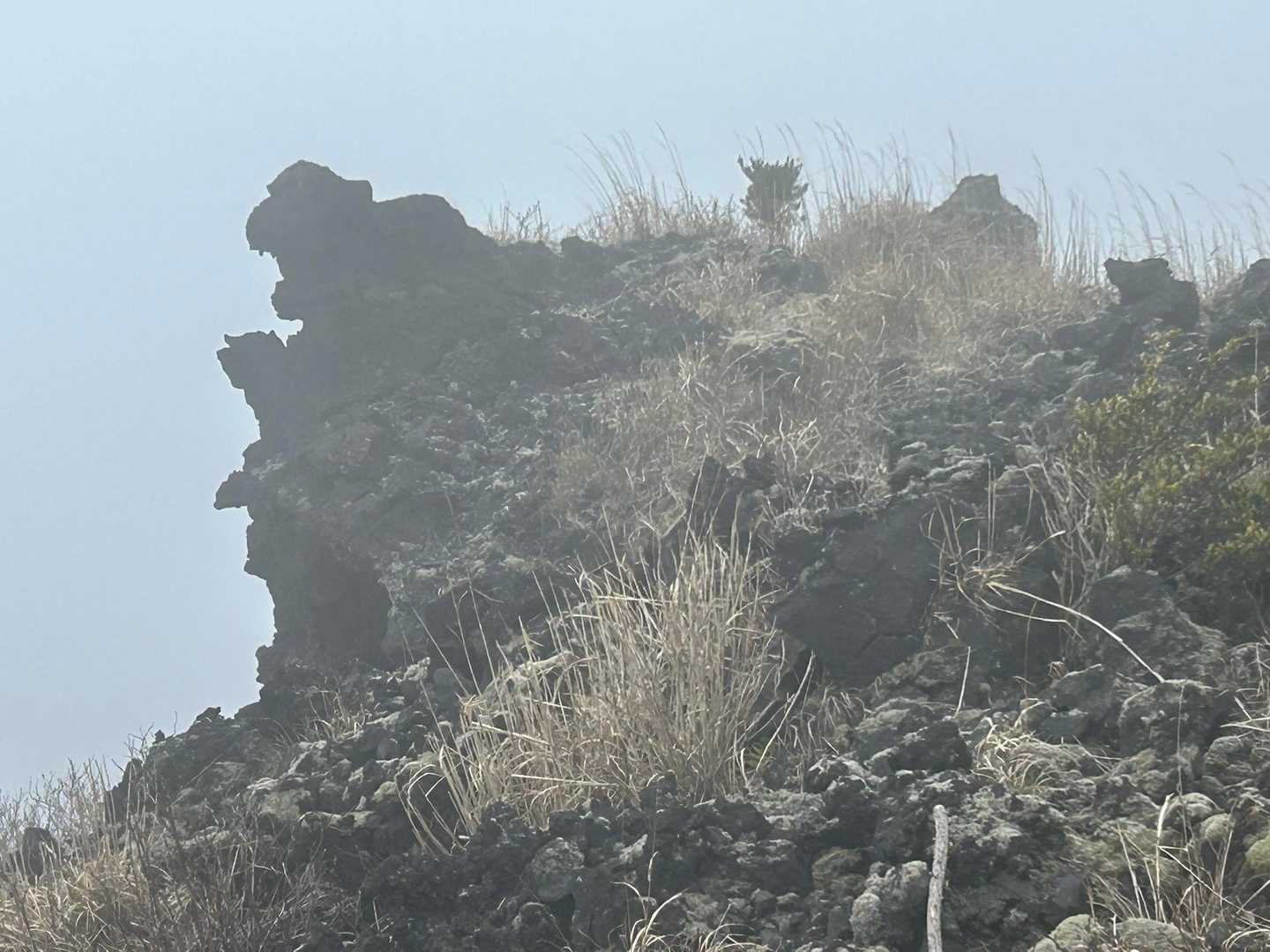 ゴジラ岩🪨もけむってる😂
晴れてたら奥に富士山🗻が見えて、かっこいい構図になるんだって😎