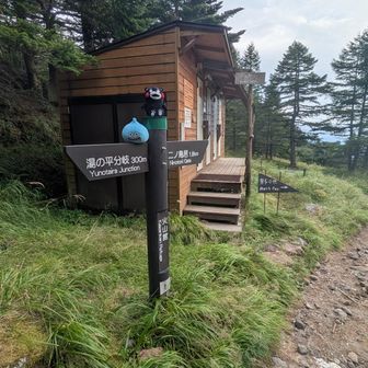 火山館まで戻ってきたっち!!