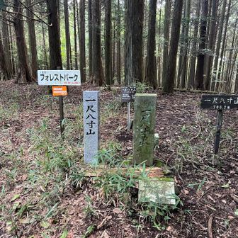 一尺八寸山（みおうやま）山頂（706.7m）