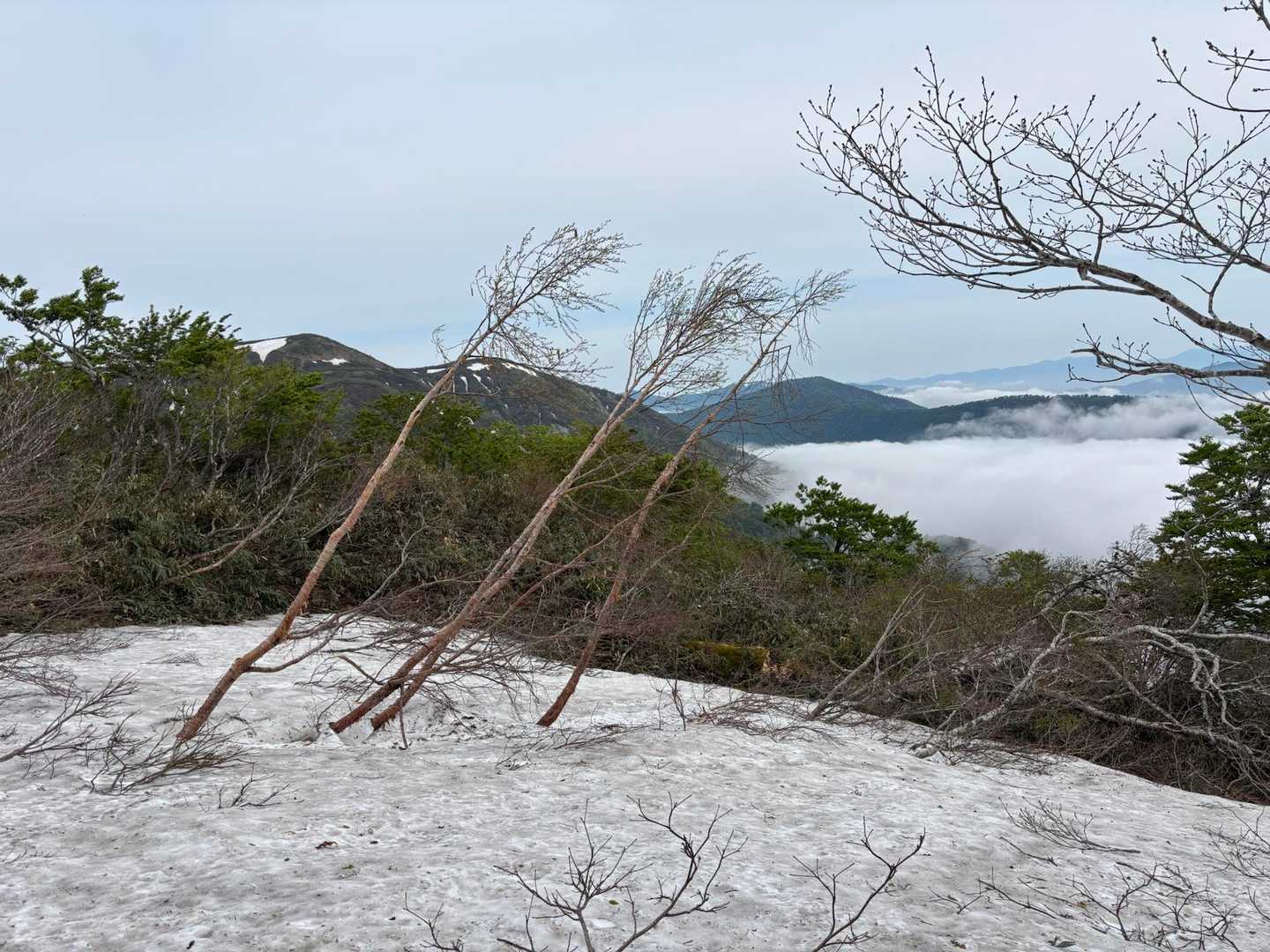 温見峠-コロンブスピーク-能郷白山-白山神社奥宮神社 往復コースの写真