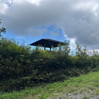林道をまたいで再び登山道へ