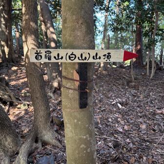 白山が（かっこ）で本当は首羅山って書くのね
とにかくひたすら登る💦