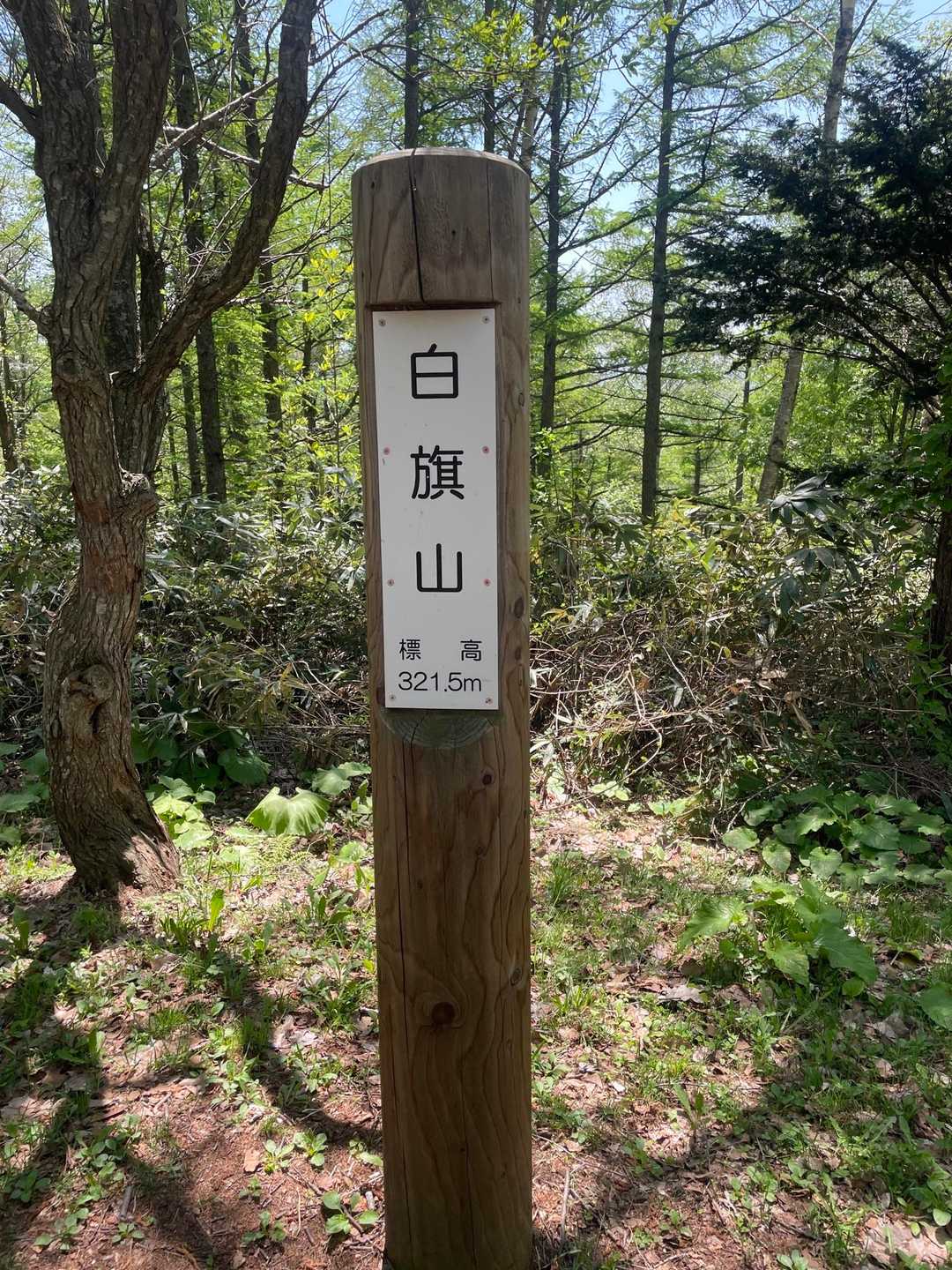 山頂！！！