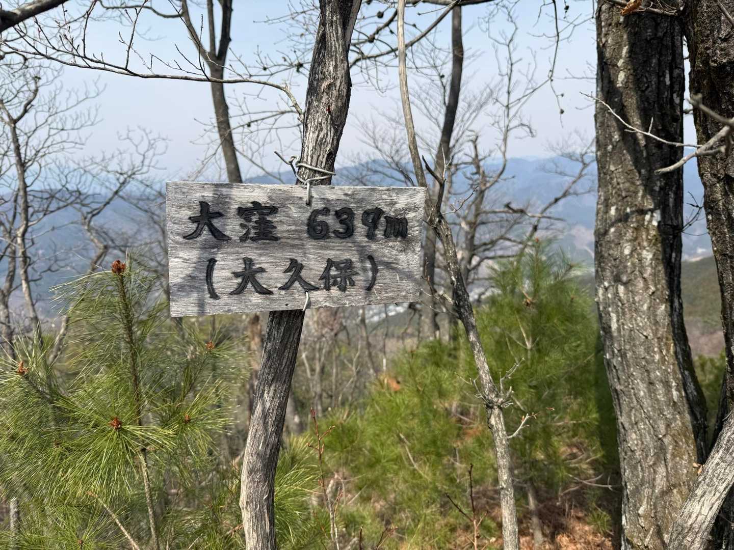 大窪⛰️とうちゃーく
未踏ピーク5つ目ᵍᵋᐪ( ᐛ )و