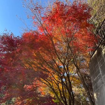 いやーしかし最初から最後まで快晴でサイクオでした。