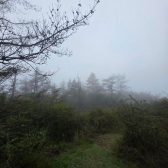 龍門山山頂