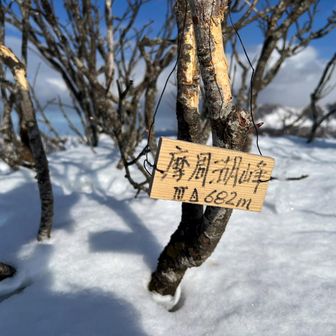 あら、行くときは気づかなかったけど、カワイイ看板あり😶