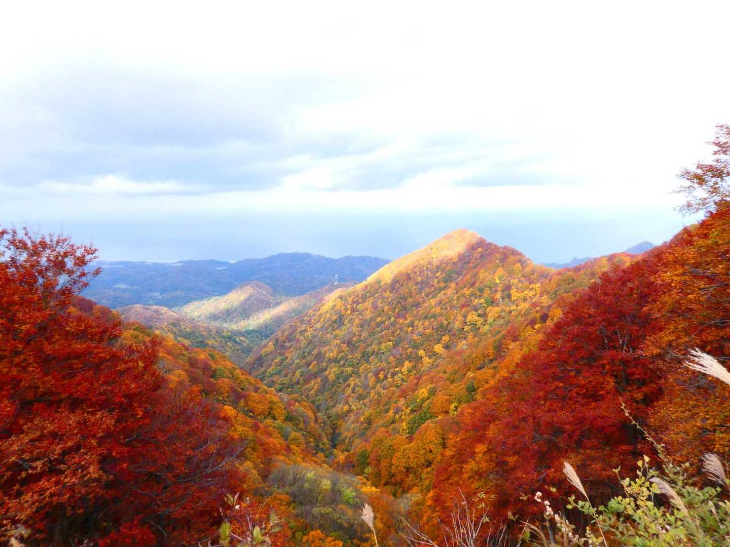 米山（下牧ベース993）＜下牧登山コース＞の写真