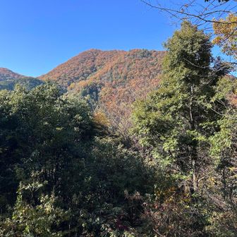 11月とは思えないくらい暑い🫠