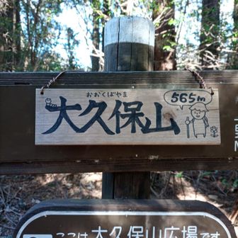 次は、大久保山　565m