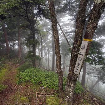 ピークハント(頂仙岳)