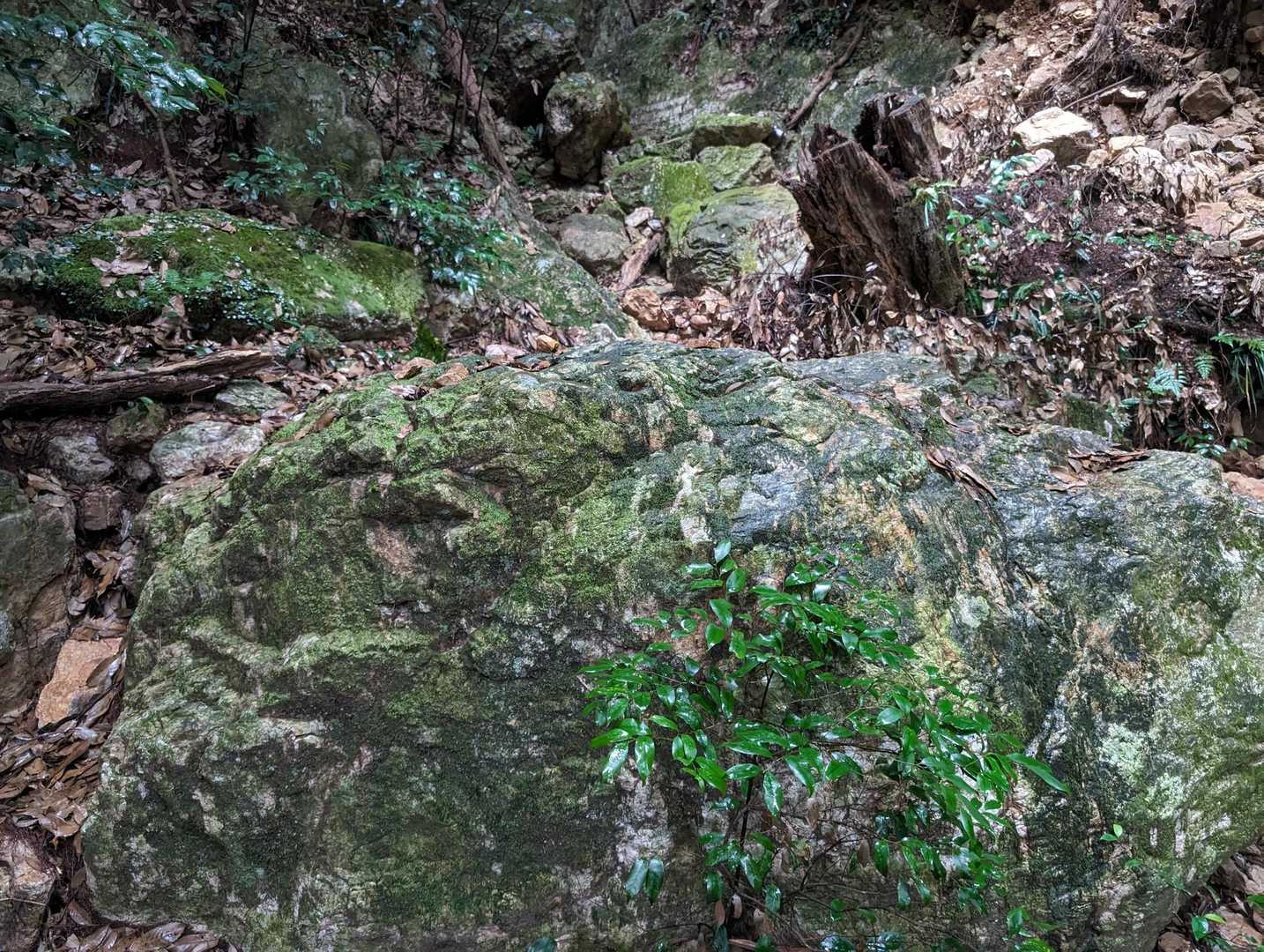 Power spot ˚‧︵‿☆