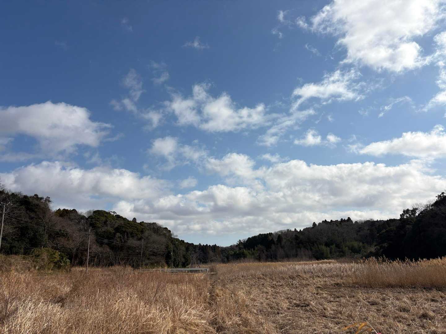 里にいったん降りてきました🩵
良い風景🙆🏻🌾