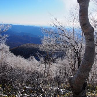 駒ヶ岳方面も真っ白
しかし、お日様があたるとあっという間に融けちゃうので、見るためには早く行かねば💦