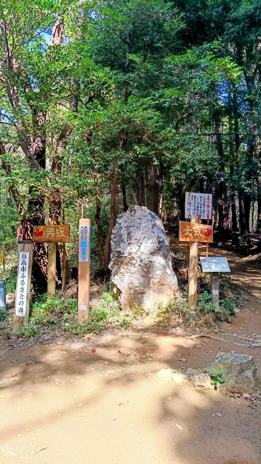 日和田山(飯能駅〜物見山) / IGAの登山データ | YAMAP / ヤマップ