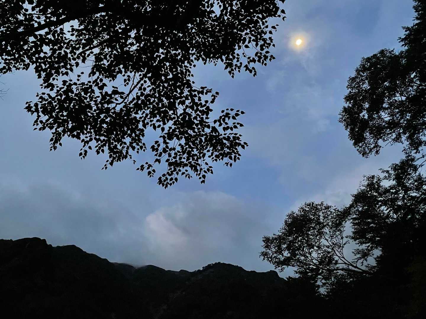 雲が多いけど、午後からは晴れ予報