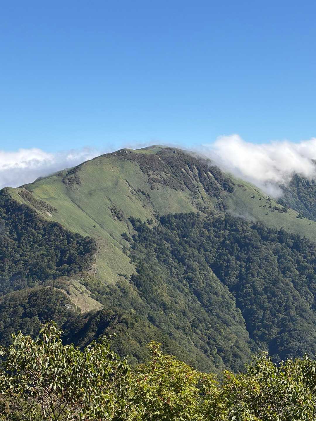 旧寒風山トンネル南口-桑瀬峠-寒風山-笹ヶ峰-笹ヶ峰南登山 縦走コースの写真