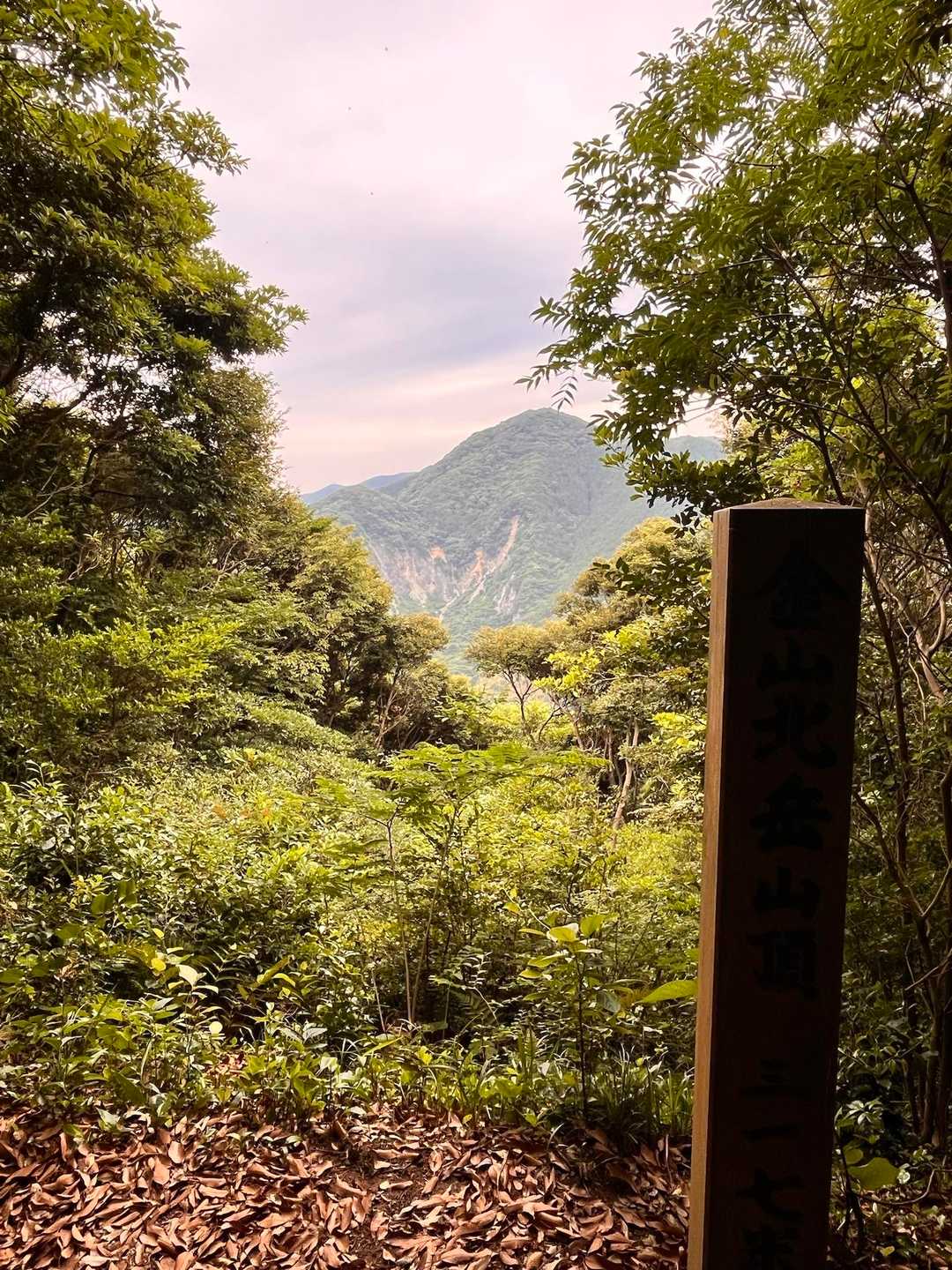 景色はこちら