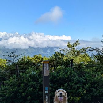 山頂！！
南アルプス側⛰️
雲で覆われてるーー😂