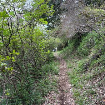 通った事ないコース🚶

あ、持ち物水だけだ❗️
熊鈴がない‼️

しれっと他の登山者に同行させてもらおう👍