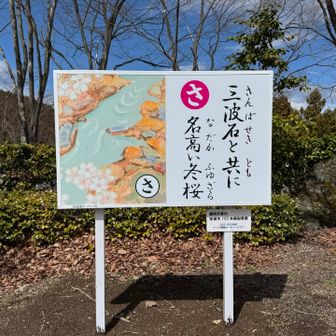 三波石と共に
名高い冬桜🌸