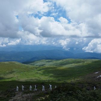 西側の池塘は綺麗に🤩見えます