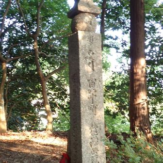 町石道（200町石）
この石標辿って～👆
