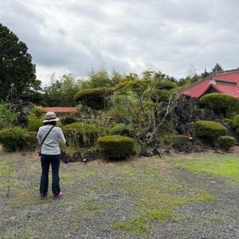 天母山の山頂は…こんもりした所っぽい