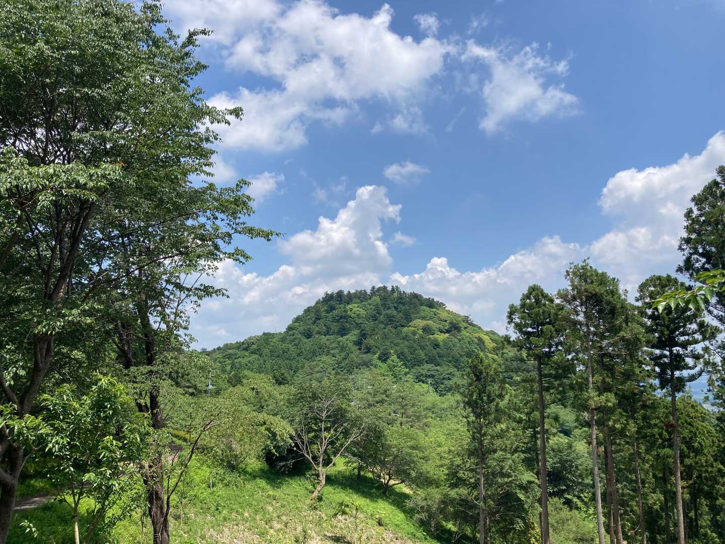 愛宕山のてっぺんには