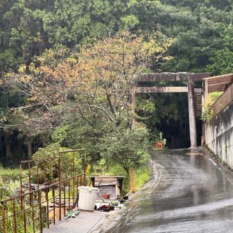 生活道路に到着