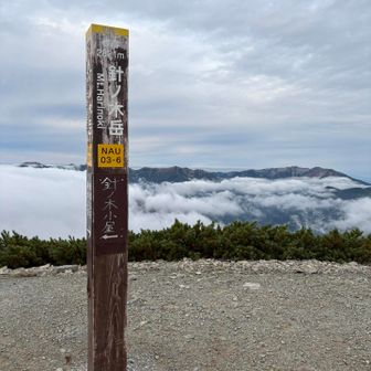針ノ木岳山頂