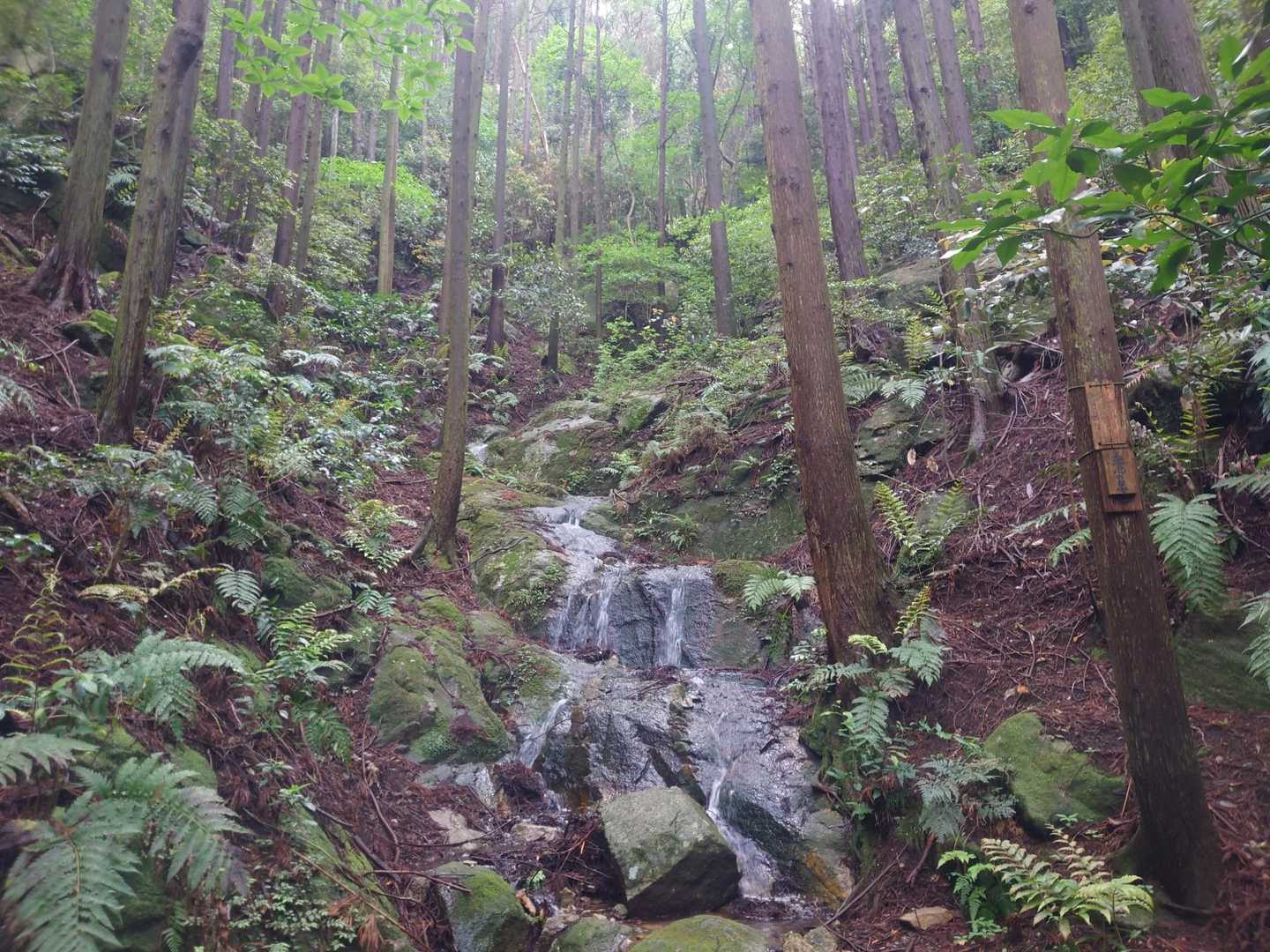 飯盛山-日向山-高地山-叶岳-叶岳登山口 縦走コースの写真