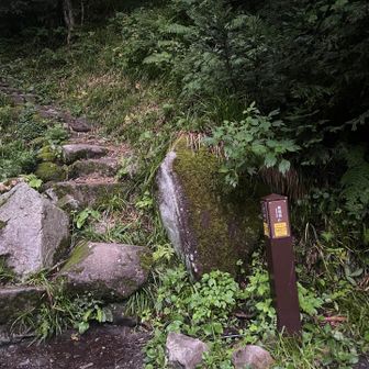 笠新道スタート