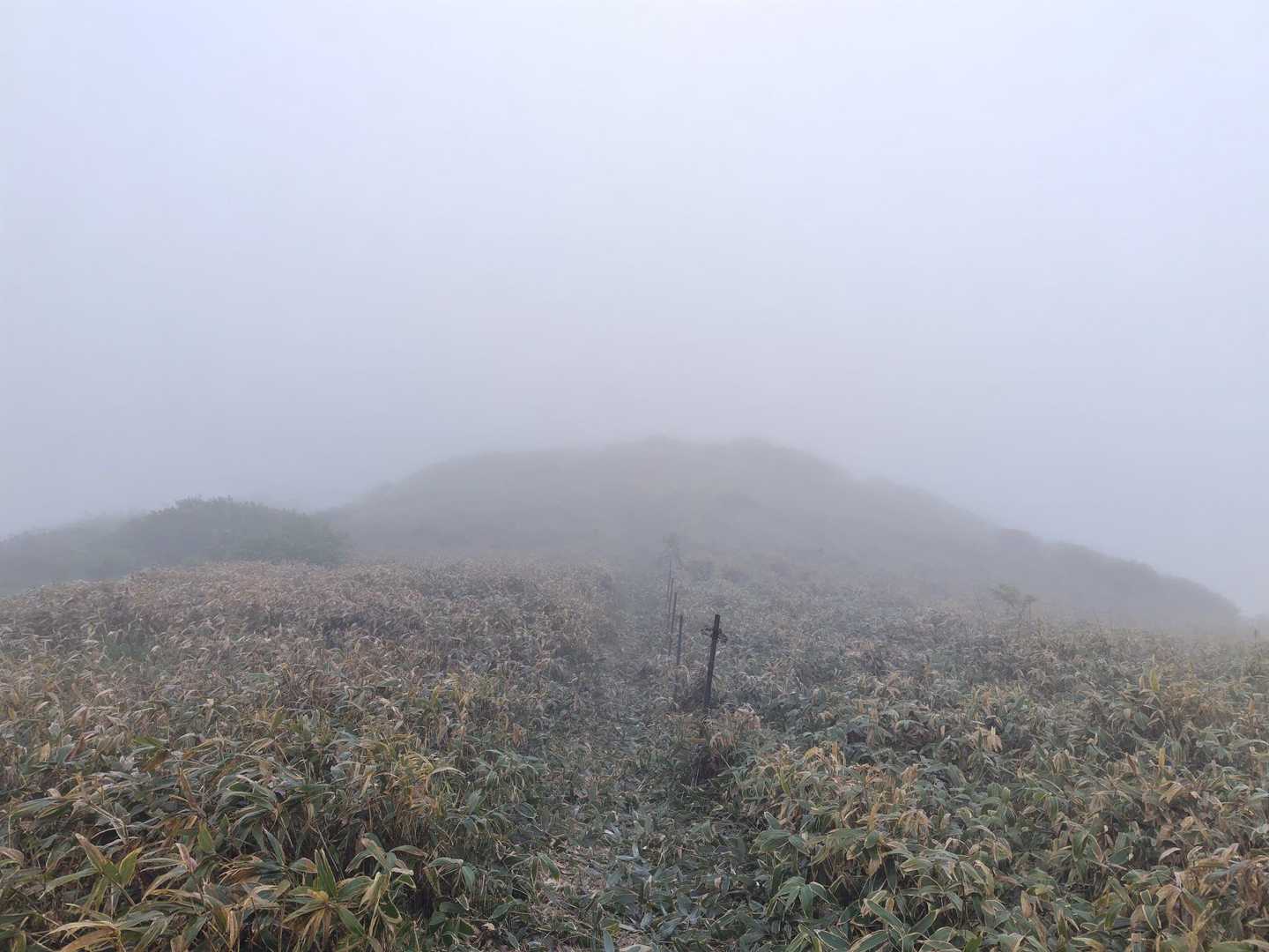笠取山か？
心眼で🙈