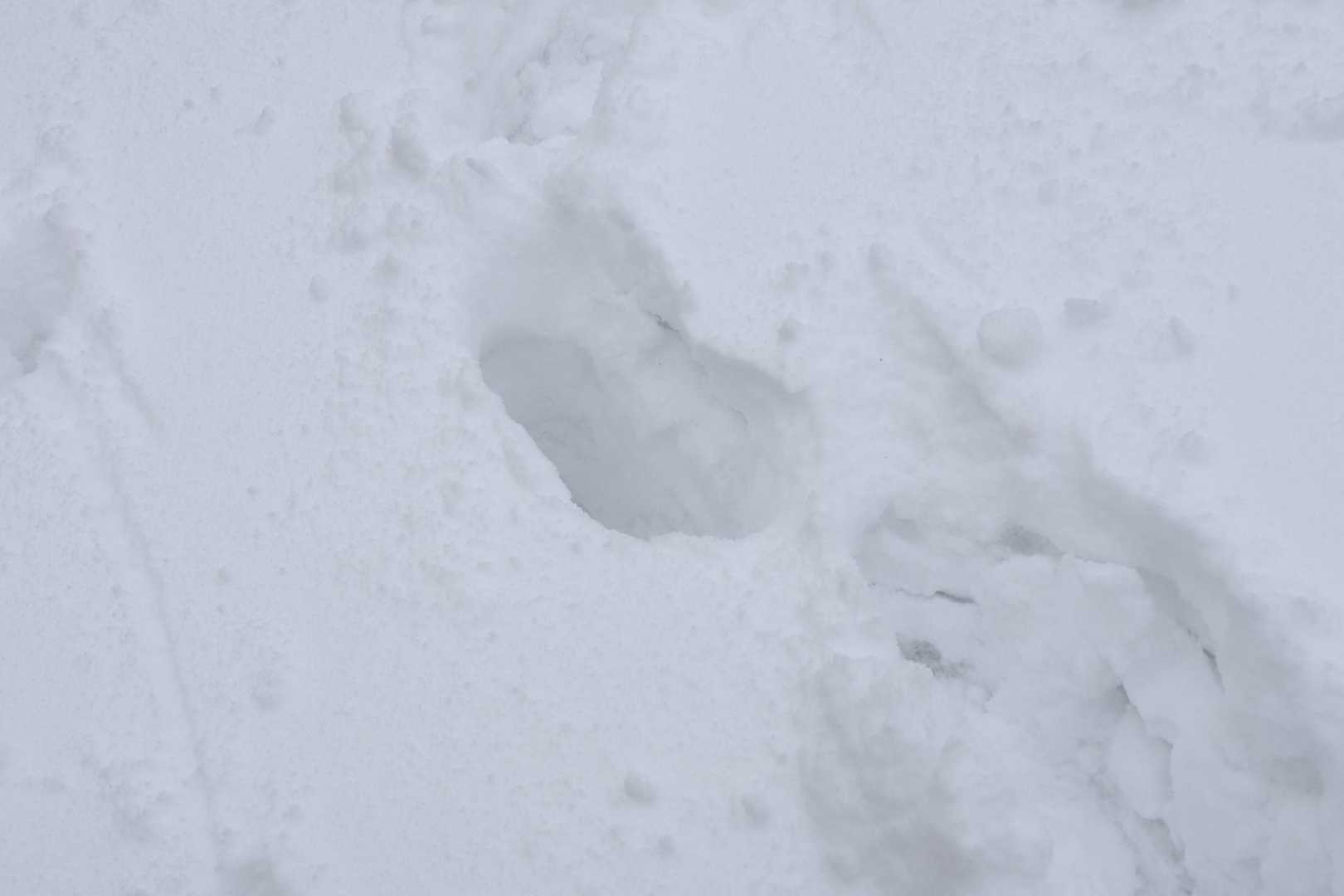 結構❄️積もってます🤗
スノーシューは権現山からの稜線で
装着予定です😆