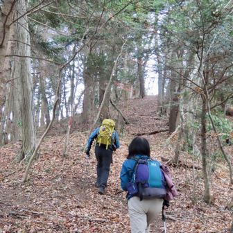 相変わらずアップダウンを繰り返してます😂