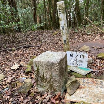 今ノ山
点名: 今之山
標高: 865.23 m
種別: 一等三角点