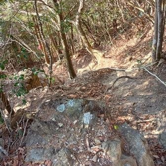 白山直下の縦走路の急降下！
ここのロープは助かりました👌🙇
無ければ…何回も足を滑らしていたと思います