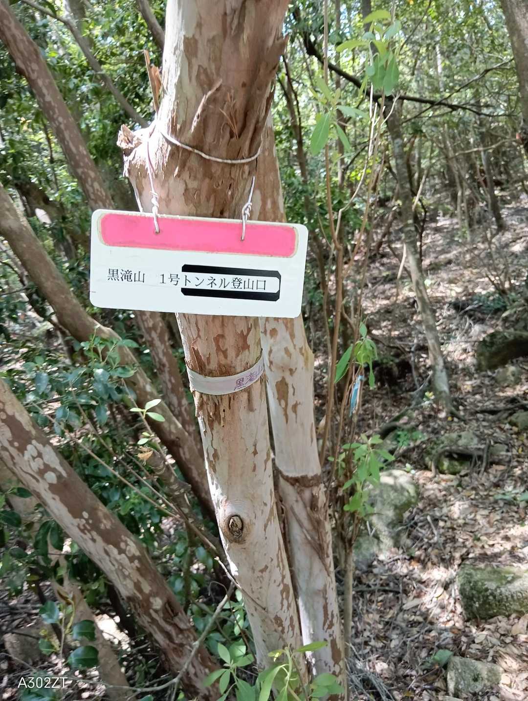 ここから😄