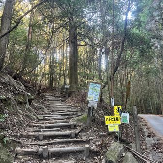 長いこと歩いてやっと登山口