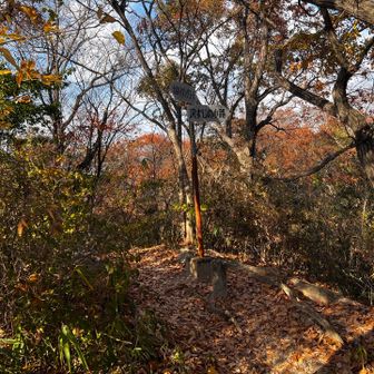51　白峯　214.2m
No.11
このあたり、通行禁止テープが貼られていたりするので注意。私は一般歩行者向けの注意喚起と判断して入らせてもらった。