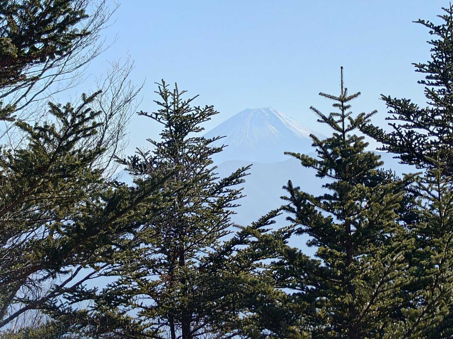 富士見山（平須登山口）の写真
