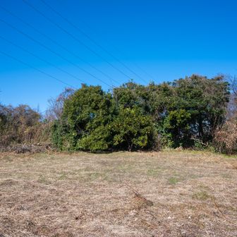 高山到着
奥のみかんの後に